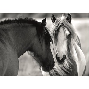 Dino (53261) - "Black and White Horses" - 1000 pezzi