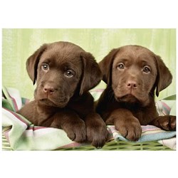 Dino (50244) - "Labradors" - 500 pezzi