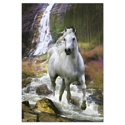 Educa (15509) - "Freedom" - 500 pezzi