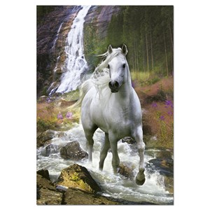 Educa (15509) - "Freedom" - 500 pezzi