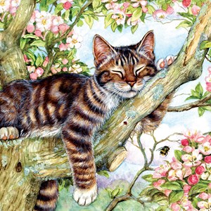 SunsOut (50423) - Debbie Cook: "Sleepy Cat" - 500 pezzi