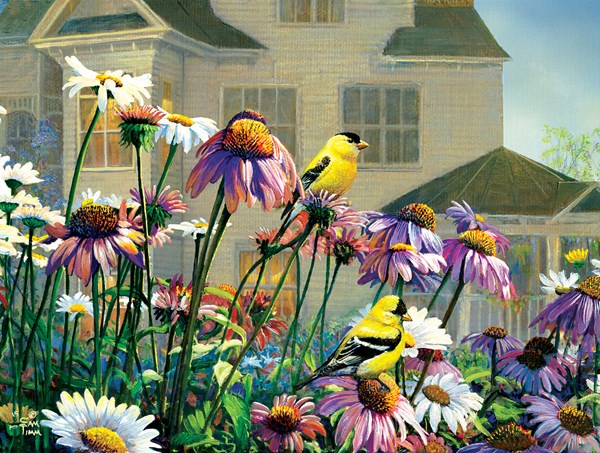 SunsOut (29040) - Sam Timm: "Colors" - 1000 pezzi