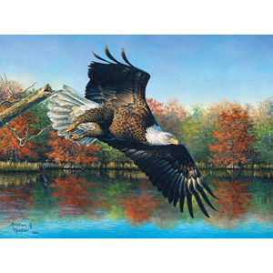 SunsOut (69607) - Abraham Hunter: "Wetlands Eagle" - 1000 pezzi