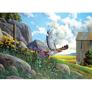 Cobble Hill (85064) - Douglas Laird: "Take Off" - 500 pezzi