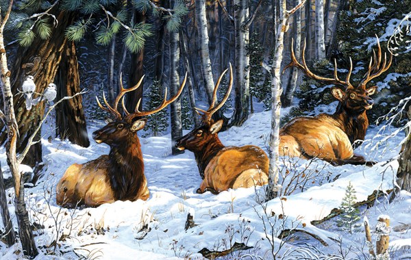 King International (71236) - Terry Doughty: "Full House Three Kings Two Jacks" - 550 pezzi