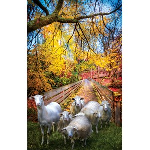 SunsOut (30136) - Celebrate Life Gallery: "Sheep Crossing" - 550 pezzi