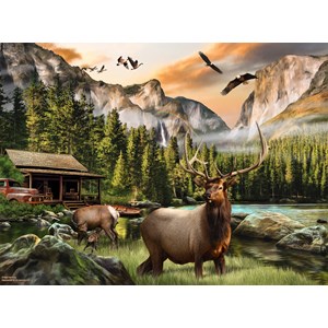 SunsOut (49004) - Nigel Hemming: "Elk Country" - 1000 pezzi