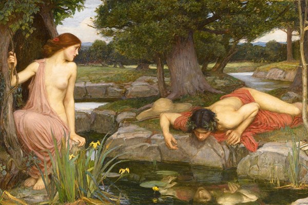 D-Toys (75048) - John William Waterhouse: "Echo and Narcissus" - 1000 pezzi