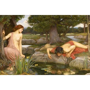 D-Toys (75048) - John William Waterhouse: "Echo and Narcissus" - 1000 pezzi