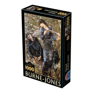 D-Toys (75024) - Edward Burne-Jones: "The Beguiling of Merlin, 1872-1877" - 1000 pezzi