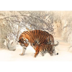 Deico (75987) - "Tigers" - 1000 pezzi