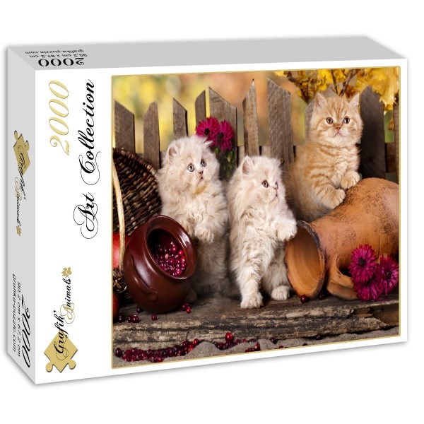 Grafika (01142) - "Persian kittens" - 2000 pezzi
