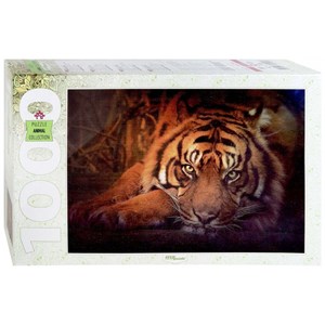 Step Puzzle (79142) - "Siberian tiger" - 1000 pezzi