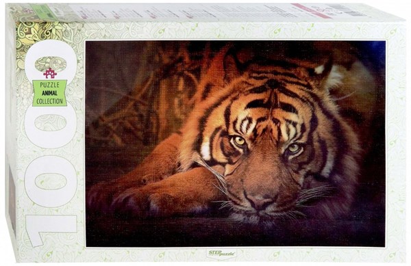 Step Puzzle (79142) - "Siberian tiger" - 1000 pezzi