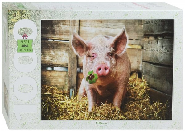 Step Puzzle (79199) - "Year 2019 in China" - 1000 pezzi