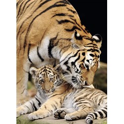 Nathan (87234) - "Moment of Tenderness" - 500 pezzi