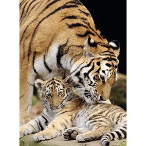 Nathan (87234) - "Moment of Tenderness" - 500 pezzi