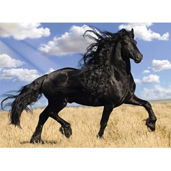 Nathan (87223) - "Horse" - 500 pezzi