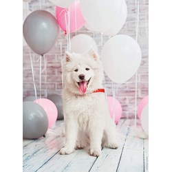 Nathan (87242) - "Samoyed Dog" - 500 pezzi