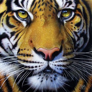 SunsOut (58628) - JQ Licensing: "Golden Tiger Face" - 1000 pezzi