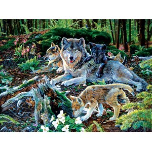 SunsOut (60506) - Jan Martin McGuire: "Forest Wolf Family" - 500 pezzi