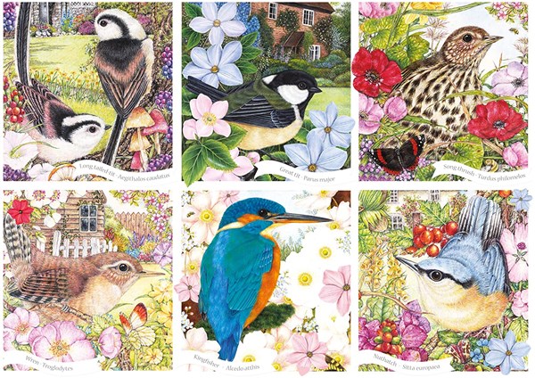 Otter House Puzzle (75079) - "RSPB, Garden Birds" - 1000 pezzi