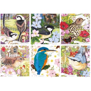 Otter House Puzzle (75079) - "RSPB, Garden Birds" - 1000 pezzi