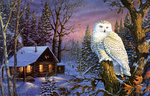 SunsOut (71230) - Terry Doughty: "Night Watch" - 1000 pezzi