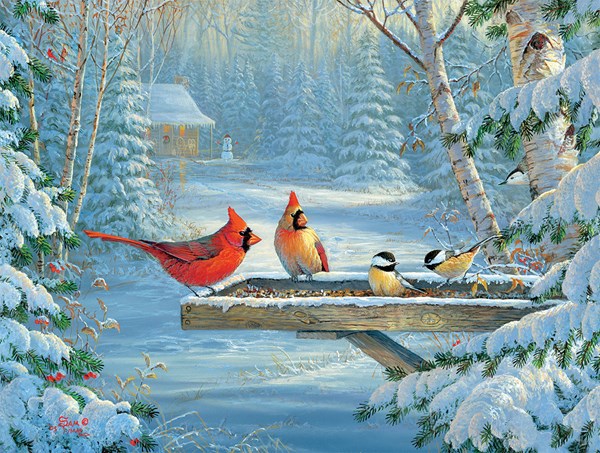 SunsOut (29023) - "Forest Treats" - 500 pezzi