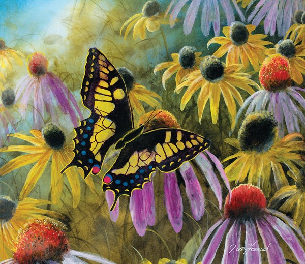 SunsOut (67322) - Jim Hansel: "Swallowtail Vistor" - 550 pezzi