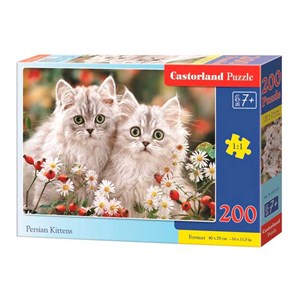 Castorland (B-222131) - "Persian Kittens" - 200 pezzi
