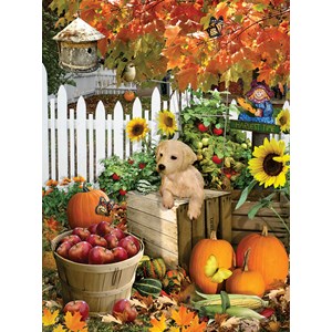 SunsOut (35140) - Lori Schory: "Harvest Puppy" - 300 pezzi