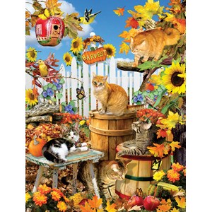 SunsOut (35143) - Lori Schory: "XXL Pieces - Lori Schory - Harvest Kittens" - 300 pezzi