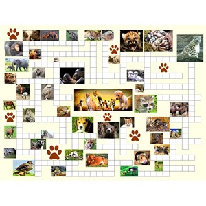 SunsOut (10160) - Irv Brechner: "Puzzle Combo, Animal Nursery" - 500 pezzi
