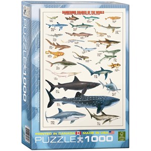 Eurographics (6000-0264) - "Dangerous Sharks of the World" - 1000 pezzi