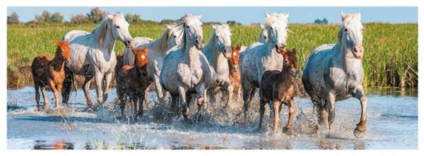 Dino (39326) - "Horses" - 150 pezzi