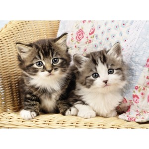 Nathan (86766) - "Kitten" - 100 pezzi