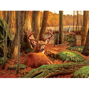 SunsOut (50133) - "Where Sleeping Deer Lie" - 500 pezzi