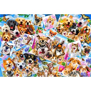 Bluebird Puzzle (70371) - "Selfie Pet Collage" - 260 pezzi