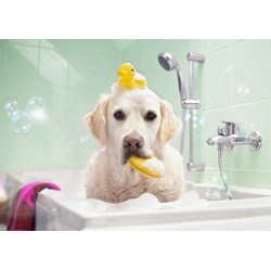 Bluebird Puzzle (70367) - "Bath Time" - 100 pezzi