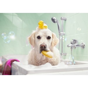 Bluebird Puzzle (70367) - "Bath Time" - 100 pezzi