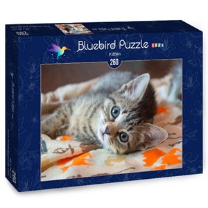 Bluebird Puzzle (70368) - "Kitten" - 260 pezzi