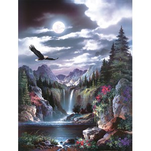 SunsOut (18005) - James Lee: "Moonlit Eagle" - 300 pezzi