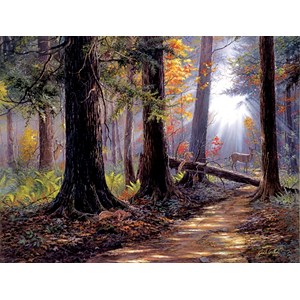 SunsOut (40610) - Jack Paluh: "Peaceful Path" - 500 pezzi