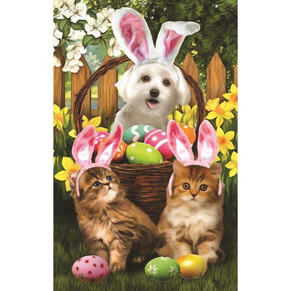 SunsOut (28849) - Tom Wood: "Easter Bunny in Training" - 300 pezzi