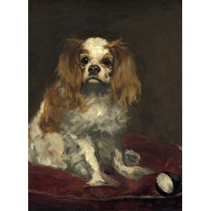 Grafika (01708) - Edouard Manet: "A King Charles Spaniel, 1866" - 300 pezzi