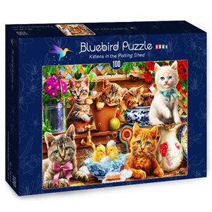 Bluebird Puzzle (70400) - Adrian Chesterman: "Kittens in the Potting Shed" - 100 pezzi