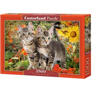 Castorland (C-151899) - "Kitten Buddies" - 1500 pezzi