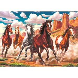 Art Puzzle (4224) - "Running Wild in the Valley" - 1000 pezzi
