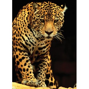 Eurographics (6000-1163) - "Leopard" - 1000 pezzi